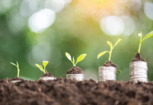 6 ways to increase your net worth