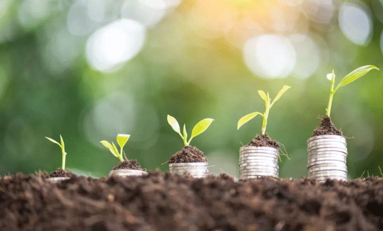 6 ways to increase your net worth