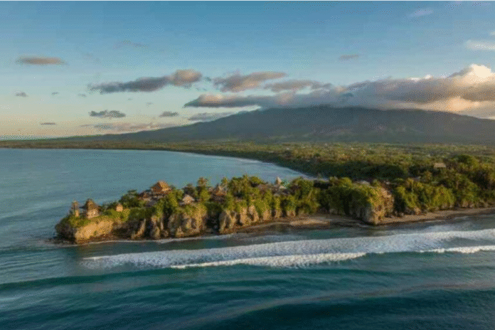 Luxury Brand Logo Gold and Black Valenzo