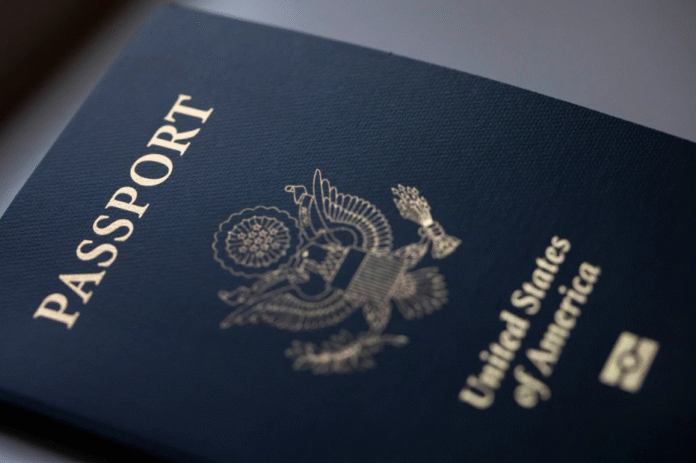 Screenshot 2025-11-15 234236