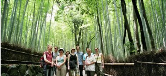 Inside Travel Reveals Record-Breaking Growth