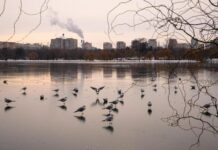 Freezing rain and ice disrupt travel across central and eastern Europe