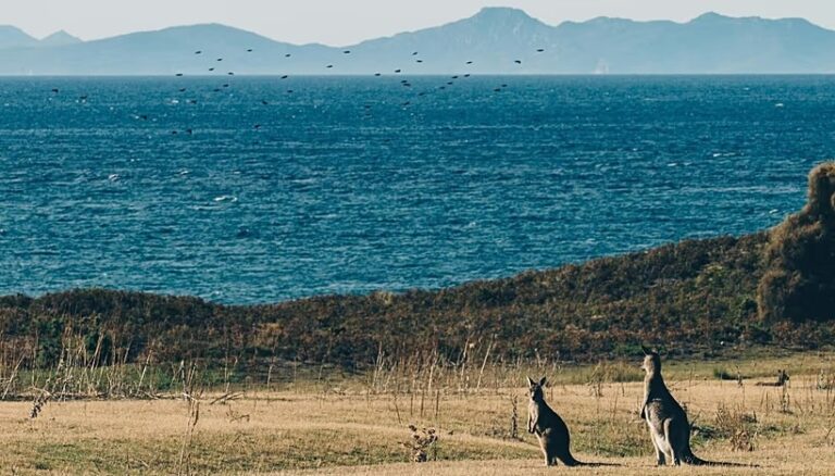 How an AI-generated travel website sent tourists to a non-existent hot spring attraction